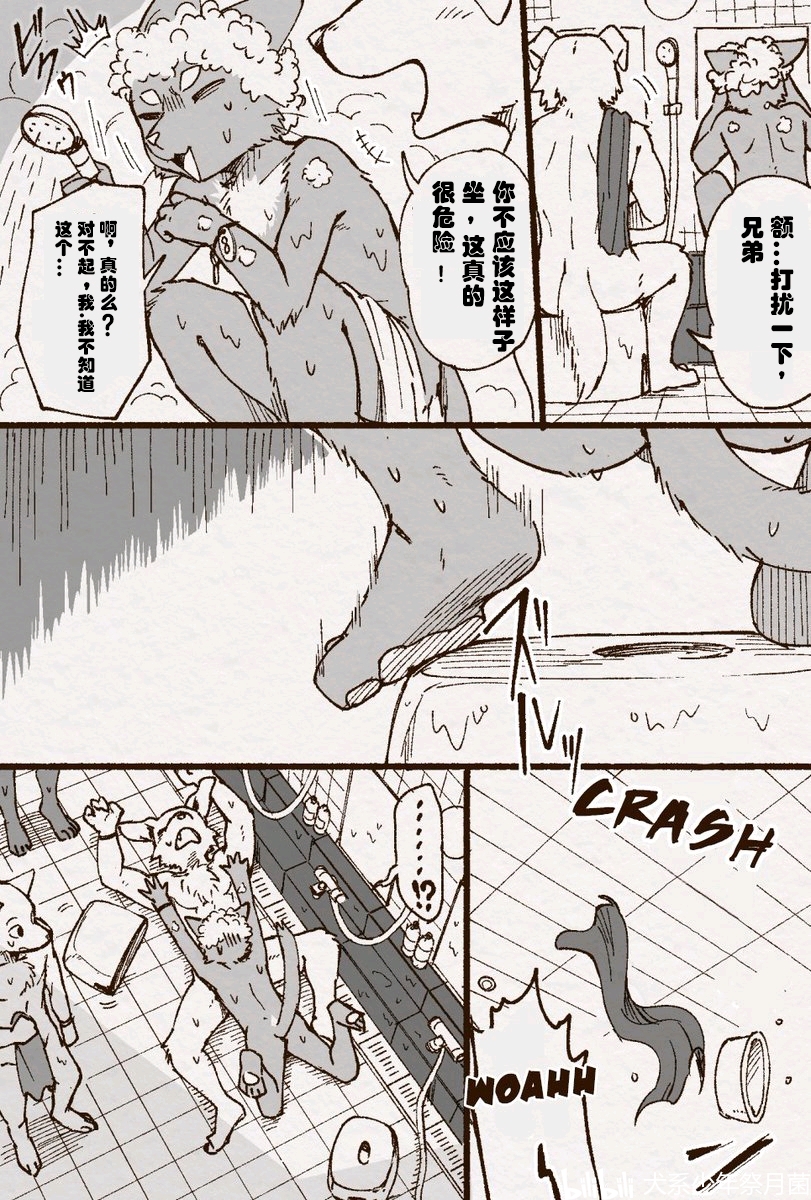 间谍过家家